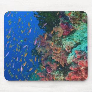 Alfombrilla De Ratón Pez hadas escolarizados (Pseudanthias