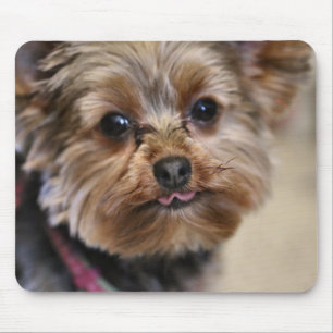 Alfombrilla De Ratón ¡Pfft!