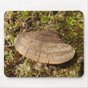 Alfombrilla De Ratón Phellinus igniarius Mushroom Mouse Mat