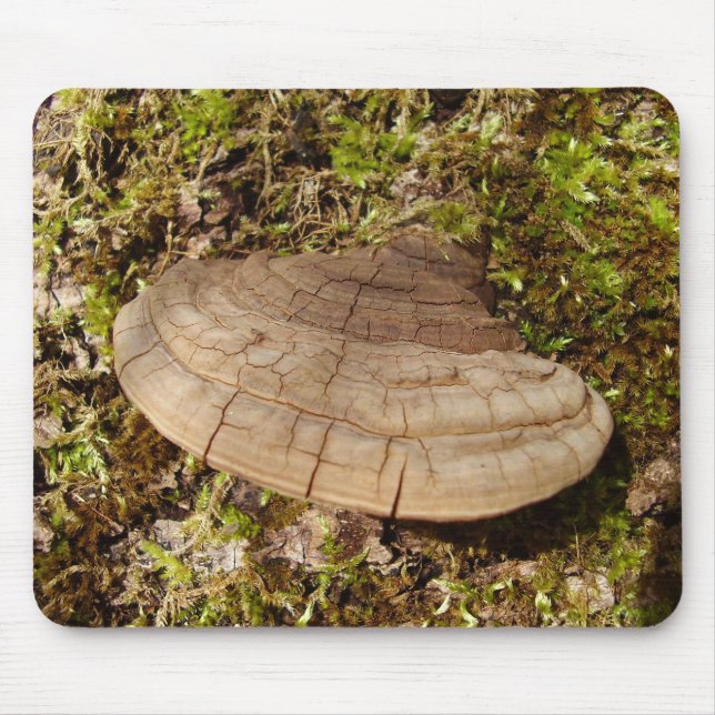 Alfombrilla De Ratón Phellinus igniarius Mushroom Mouse Mat (Frente)