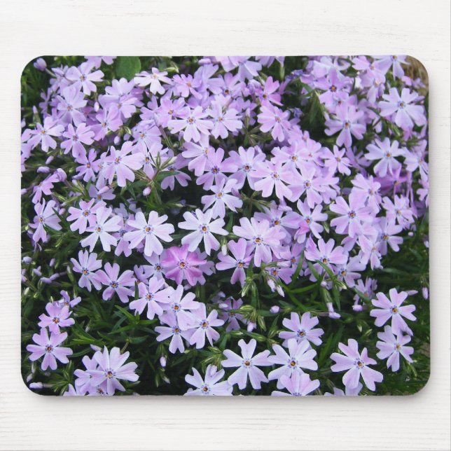 Alfombrilla De Ratón Phlox púrpura bonito (Frente)