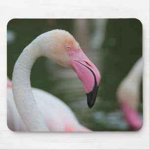 Alfombrilla De Ratón Phoenicopterus roseus