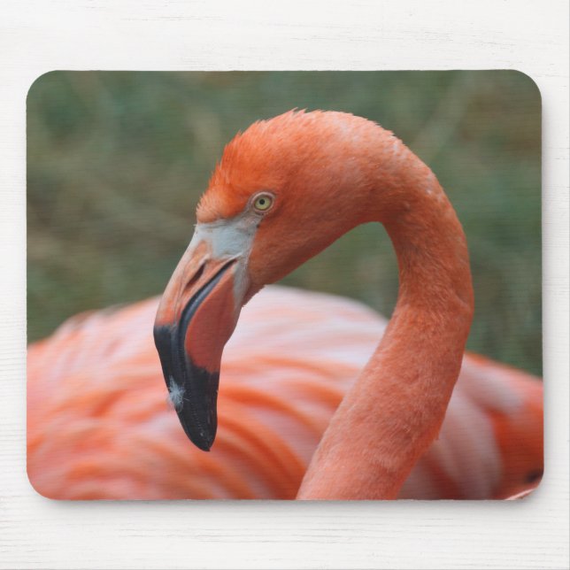 Alfombrilla De Ratón Phoenicopterus ruber (Frente)