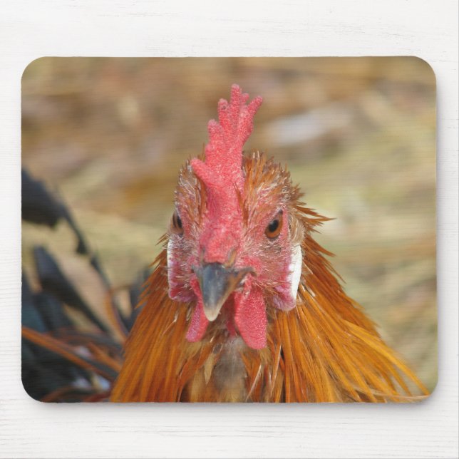 Alfombrilla De Ratón Phoenix deja la cámara abajo (Frente)