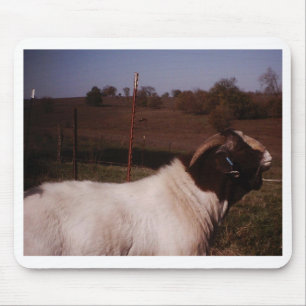 Alfombrilla De Ratón pictures024