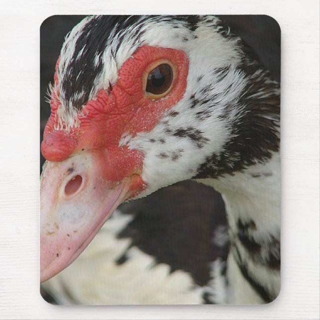 Alfombrilla De Ratón Pie dice: "¡Hola!" (Frente)