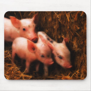 Alfombrilla De Ratón PIggies