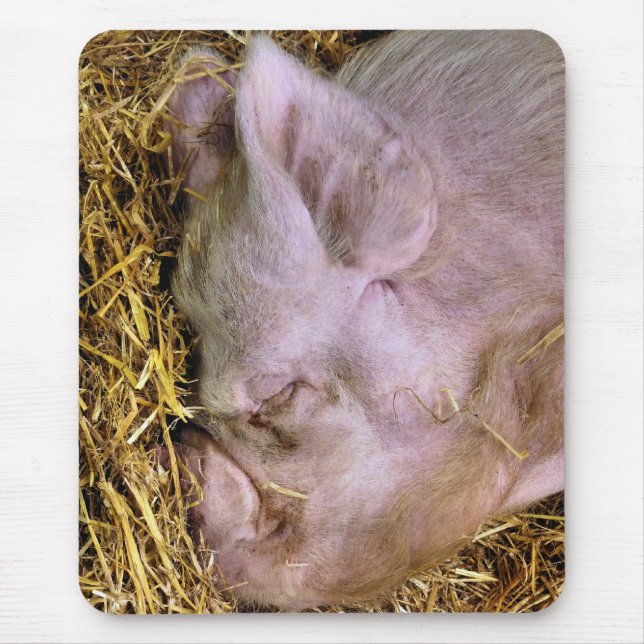 ALFOMBRILLA DE RATÓN PIGS (Frente)