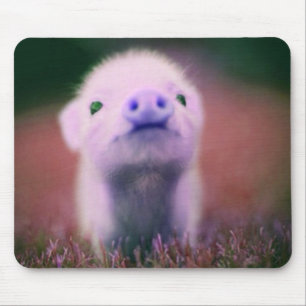 Alfombrilla De Ratón Pigsy púrpura