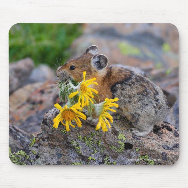 Alfombrilla De Ratón Pika (Frente)