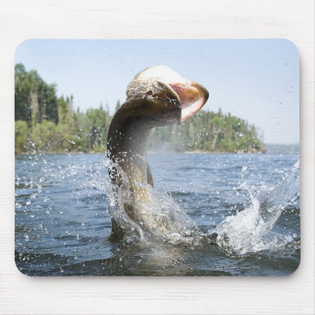 Alfombrilla De Ratón Pike septentrional saltando del agua en un lago. (Frente)