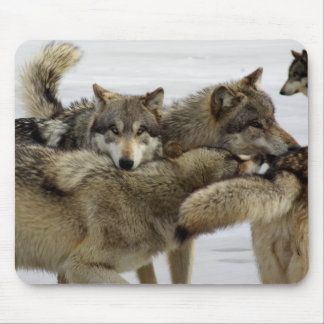 Alfombrilla De Ratón Pila del lobo