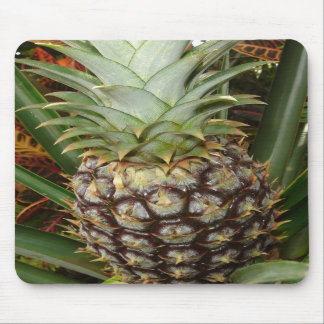 Alfombrilla De Ratón Piña tropical Mousepad del patio trasero