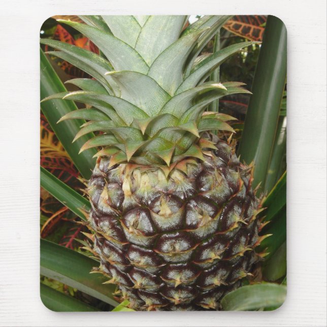 Alfombrilla De Ratón Piña tropical Mousepad del patio trasero (Frente)
