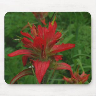 Alfombrilla De Ratón Pincel de pintura indio