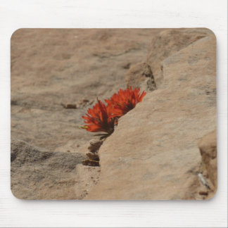 Alfombrilla De Ratón Pincel indio en rocas en Zion