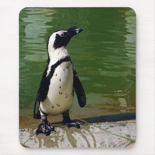 Alfombrilla De Ratón Pingüino africano Mousepad (Frente)