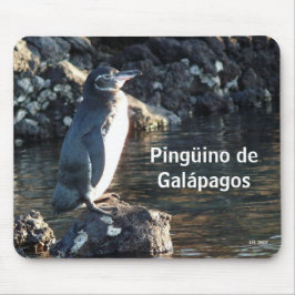 Alfombrilla De Ratón Pinguino de las Islas Galápagos