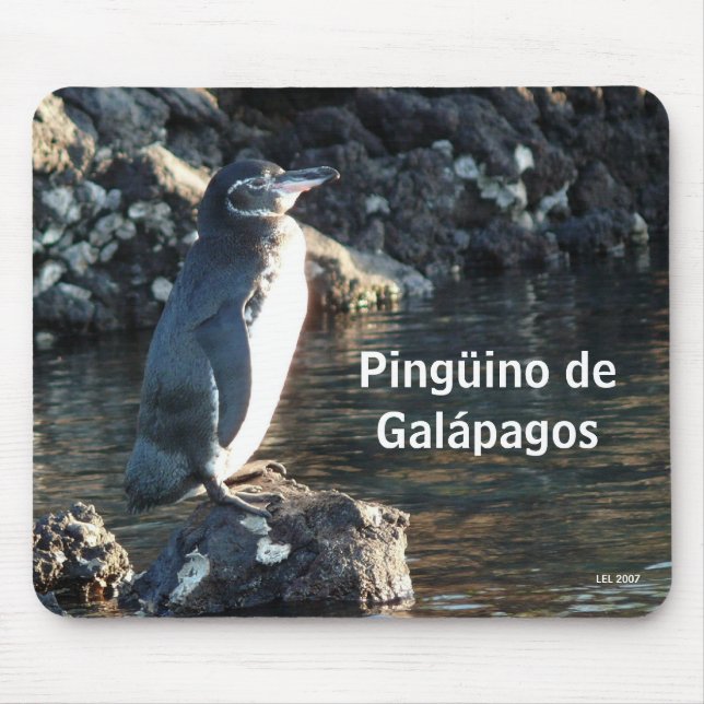 Alfombrilla De Ratón Pinguino de las Islas Galápagos (Frente)
