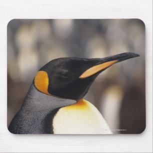 Alfombrilla De Ratón Pingüino de rey (patagonicus del Aptenodytes)