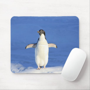 Alfombrilla De Ratón Pingüino gracioso en foto de hielo