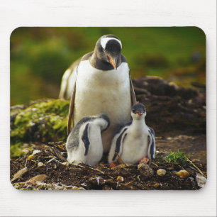 Alfombrilla De Ratón Pingüino mami y bebés