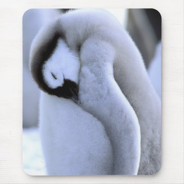 Alfombrilla De Ratón Pingüino | Península Antártica, Mar de Weddell (Frente)
