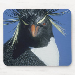 Alfombrilla De Ratón Pingüino saltarrocas (Eudyptes chrysocome)