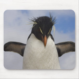 Alfombrilla De Ratón Pingüino saltarrocas Eudyptes chrysocome