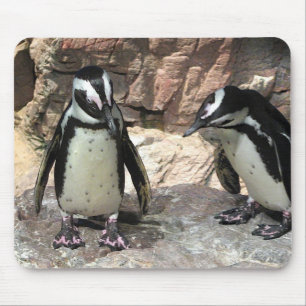 Alfombrilla De Ratón Pingüinos
