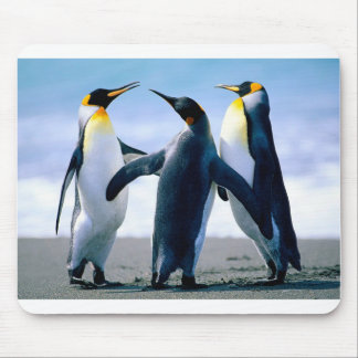 Alfombrilla De Ratón Pingüinos