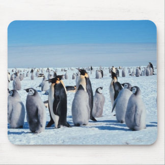 Alfombrilla De Ratón pingüinos