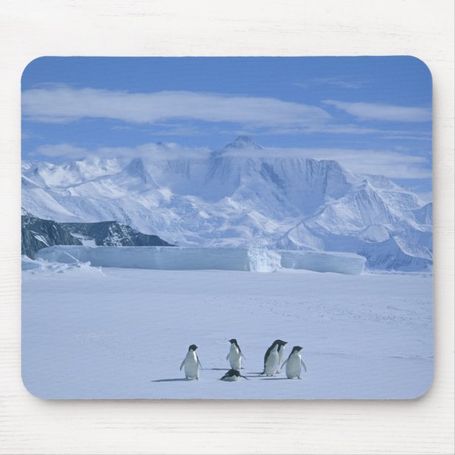 Alfombrilla De Ratón Pingüinos de Adelia, Pygoscelis adeliae), (Frente)