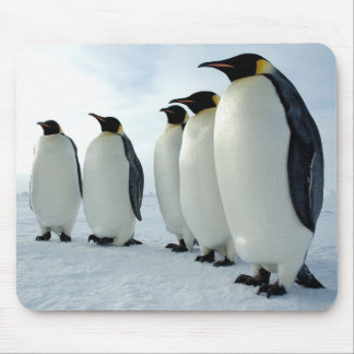 Alfombrilla De Ratón Pingüinos de emperador alineados