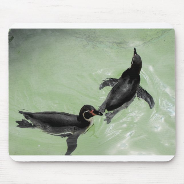 Alfombrilla De Ratón Pingüinos de Humboldt (Frente)