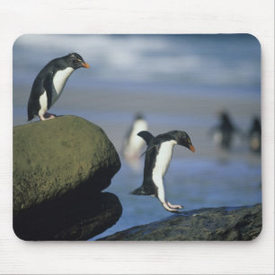 Alfombrilla De Ratón Pingüinos de Rockhopper, crisoven de los Eudyptes)