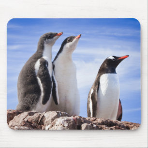 Alfombrilla De Ratón Pingüinos en la Antártida