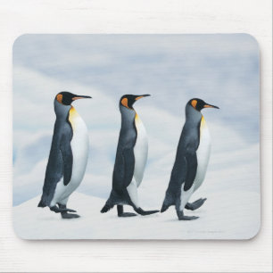 Alfombrilla De Ratón Pingüinos King caminando en un solo archivo