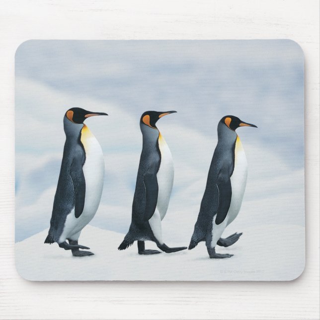Alfombrilla De Ratón Pingüinos King caminando en un solo archivo (Frente)