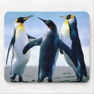 Alfombrilla De Ratón Pingüinos: Pingüino colorido Mousepad o cojín de