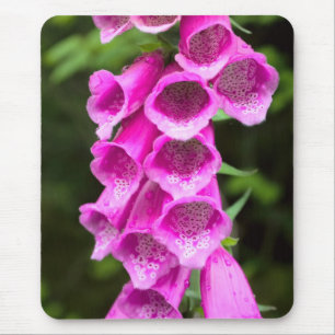 Alfombrilla De Ratón Pink Foxglove Mousepad