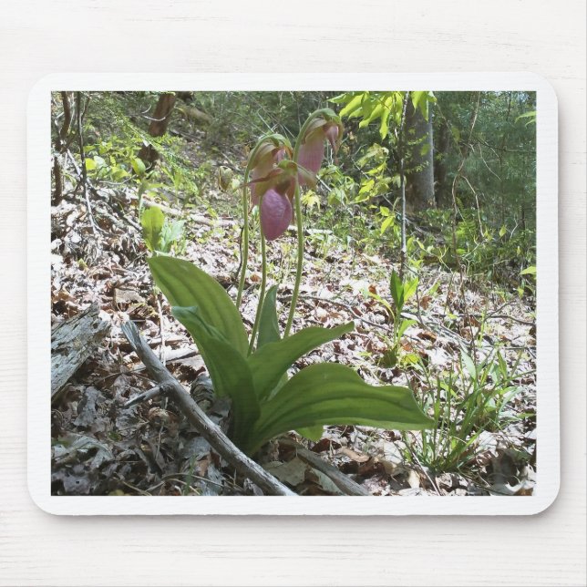 Alfombrilla De Ratón Pink lady slipper Orchid (Frente)