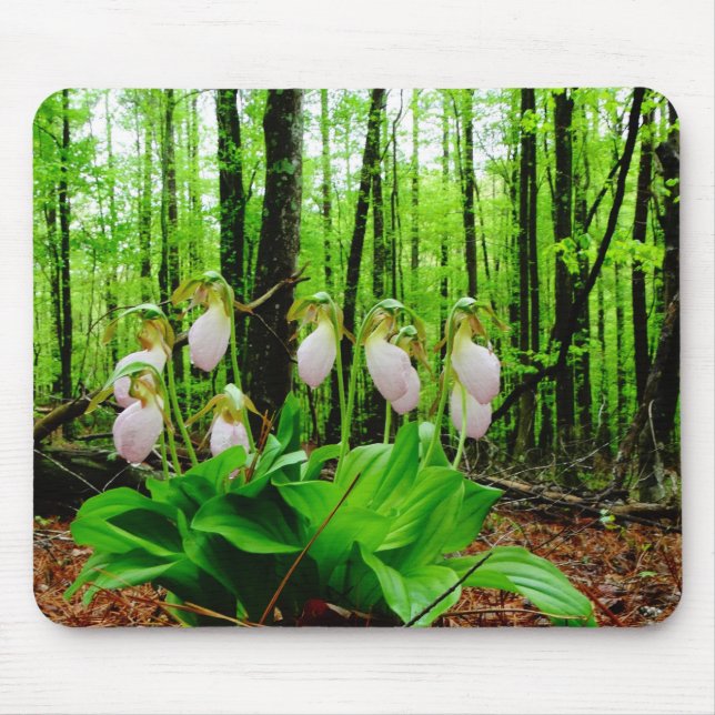 Alfombrilla De Ratón Pink Lady Slipper Wild Orchid (Frente)