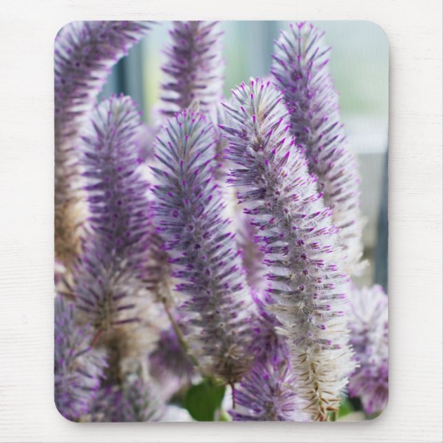 Alfombrilla De Ratón Pink Mulla Mulla Mousepad (Frente)