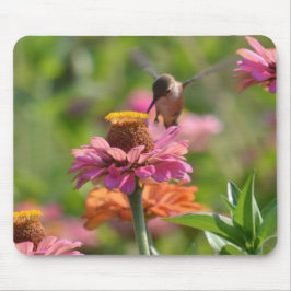 Alfombrilla De Ratón Pink Zinnia Flowers Hummingbird Photography