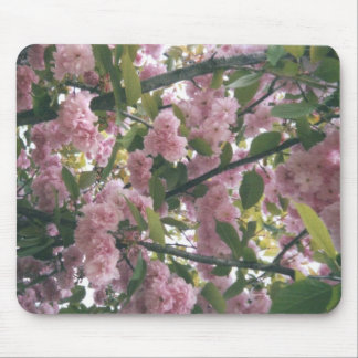Alfombrilla De Ratón pinkspringtrees 001