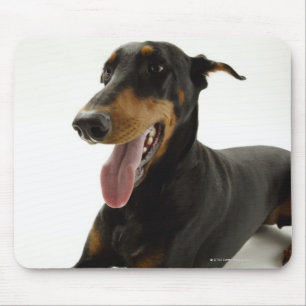 Alfombrilla De Ratón Pinscher 2 del Doberman