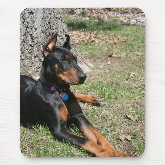Alfombrilla De Ratón Pinscher del Doberman (Frente)