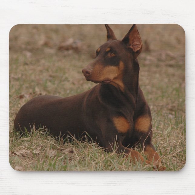Alfombrilla De Ratón Pinscher femenino agudo del Doberman del rojo y (Frente)