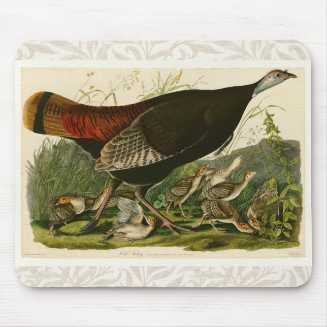 Alfombrilla De Ratón Pintado de aves salvajes Audubon en Turquía (Frente)
